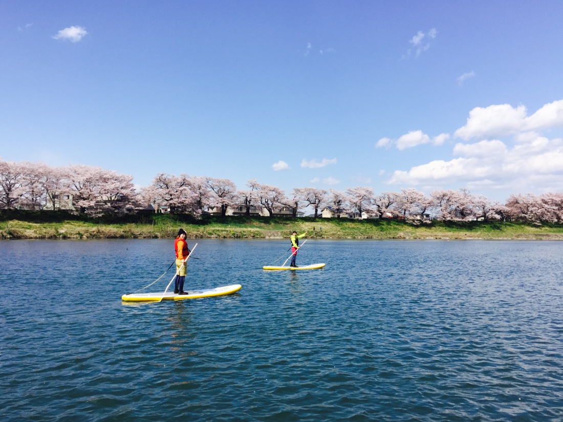 まだまだ見頃。お花見SUP！