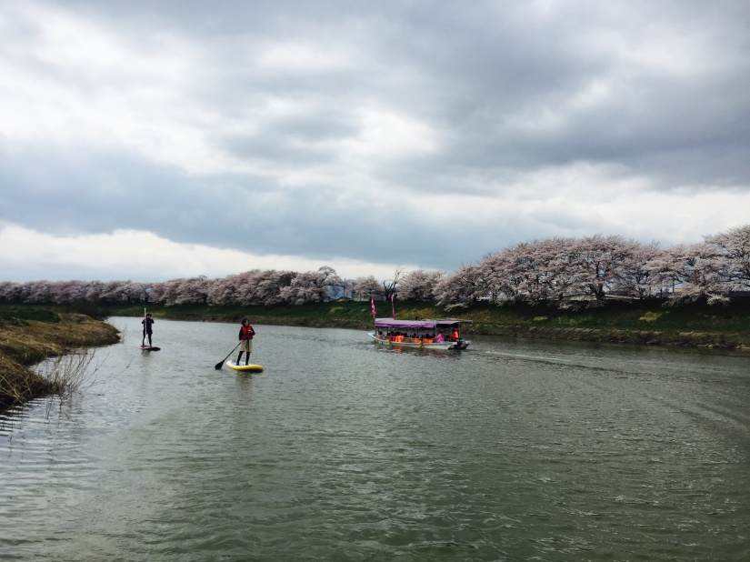 桜！！お花見SUP Vol.1