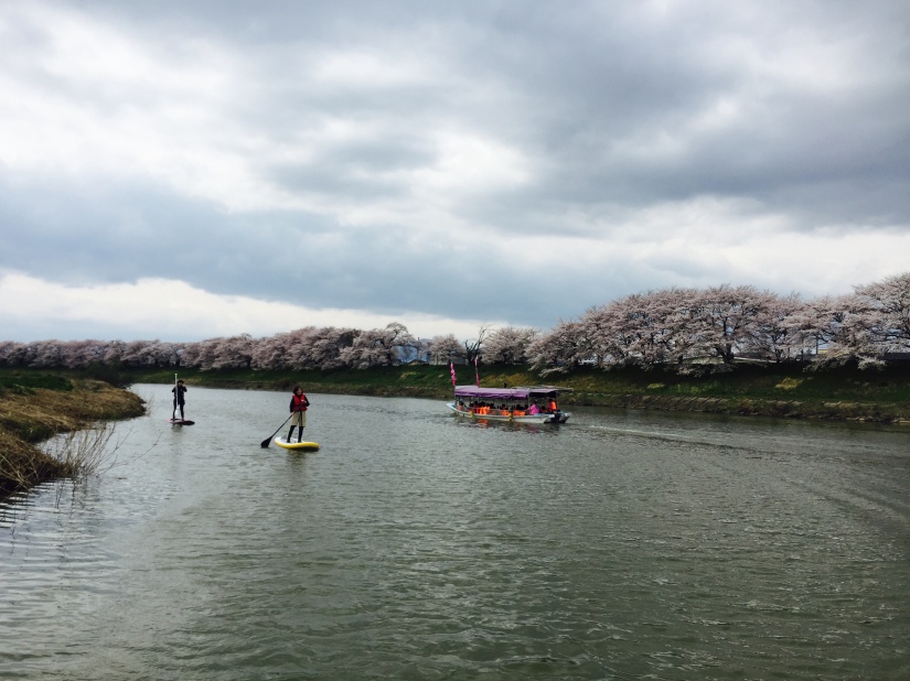 桜！！お花見SUP Vol.1