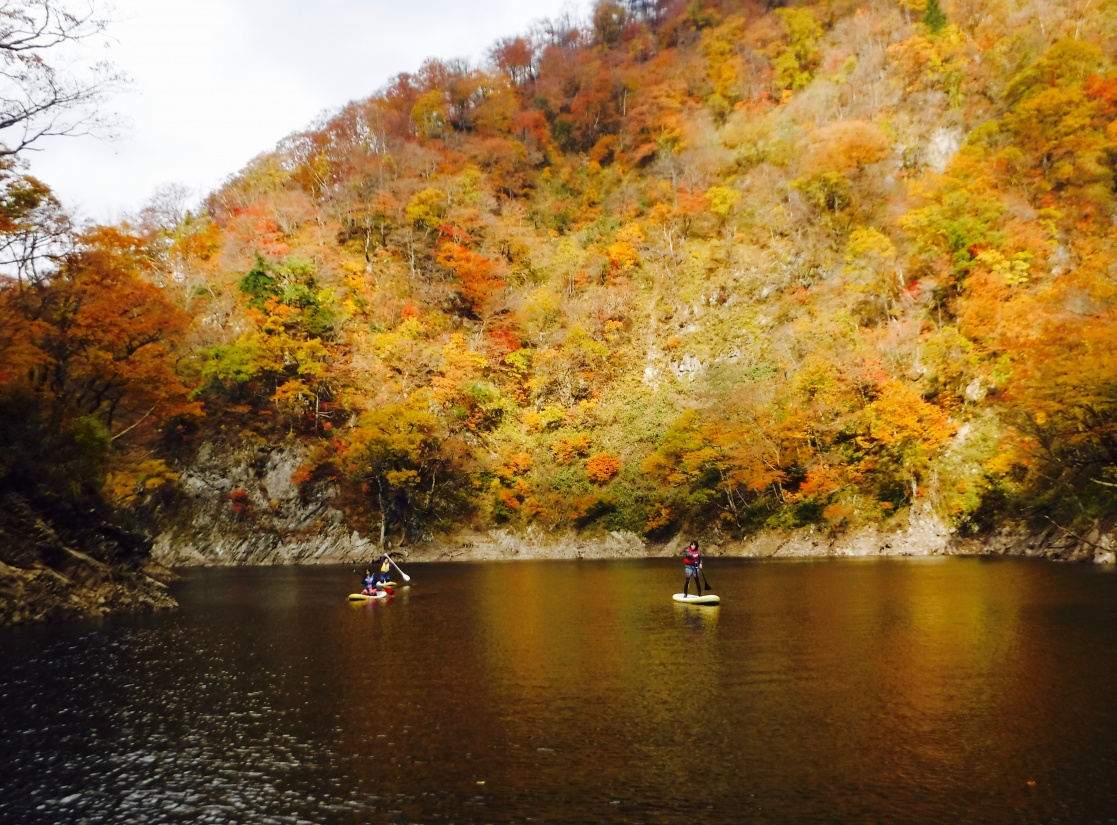 2016 ZAOC SUP FINAL