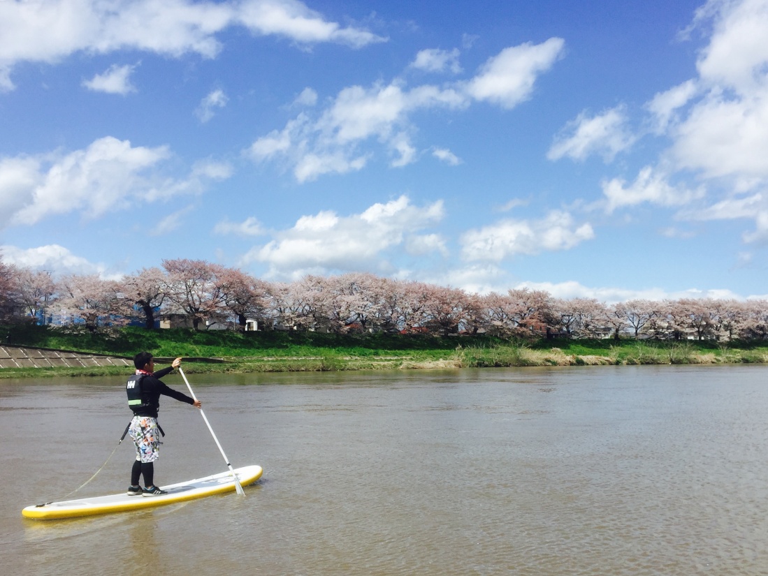 濁流！増水！お花見SUP