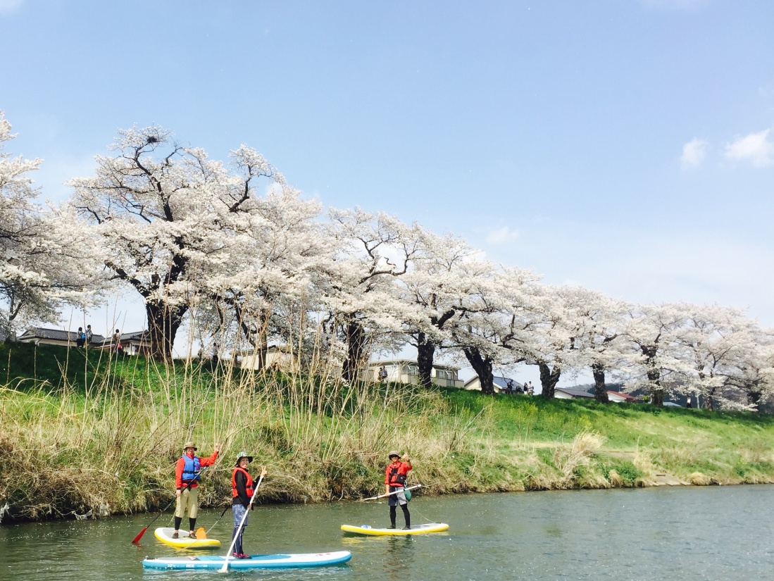 一目千本桜お花見SUP＆カヤック