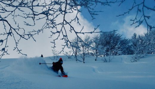 下のソーシャルリンクからフォロー