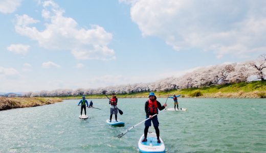 満開！一目千本桜お花見SUP