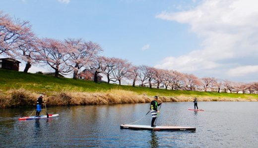 5分咲！お花見SUP