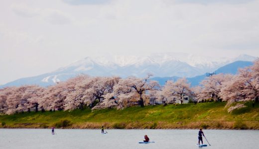 満開！お花見SUP