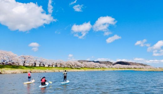 散り初めが美しい！お花見SUP