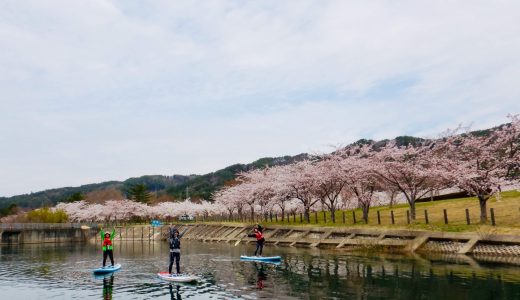 ダム湖deお花見SUP