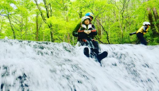 下のソーシャルリンクからフォロー