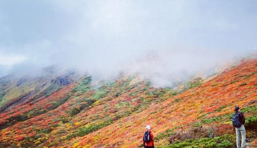 下のソーシャルリンクからフォロー