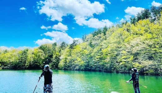 下のソーシャルリンクからフォロー