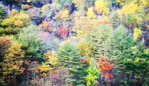 県北紅葉SUP