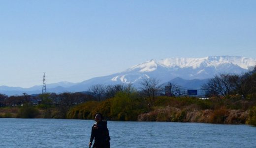 お花見SUP